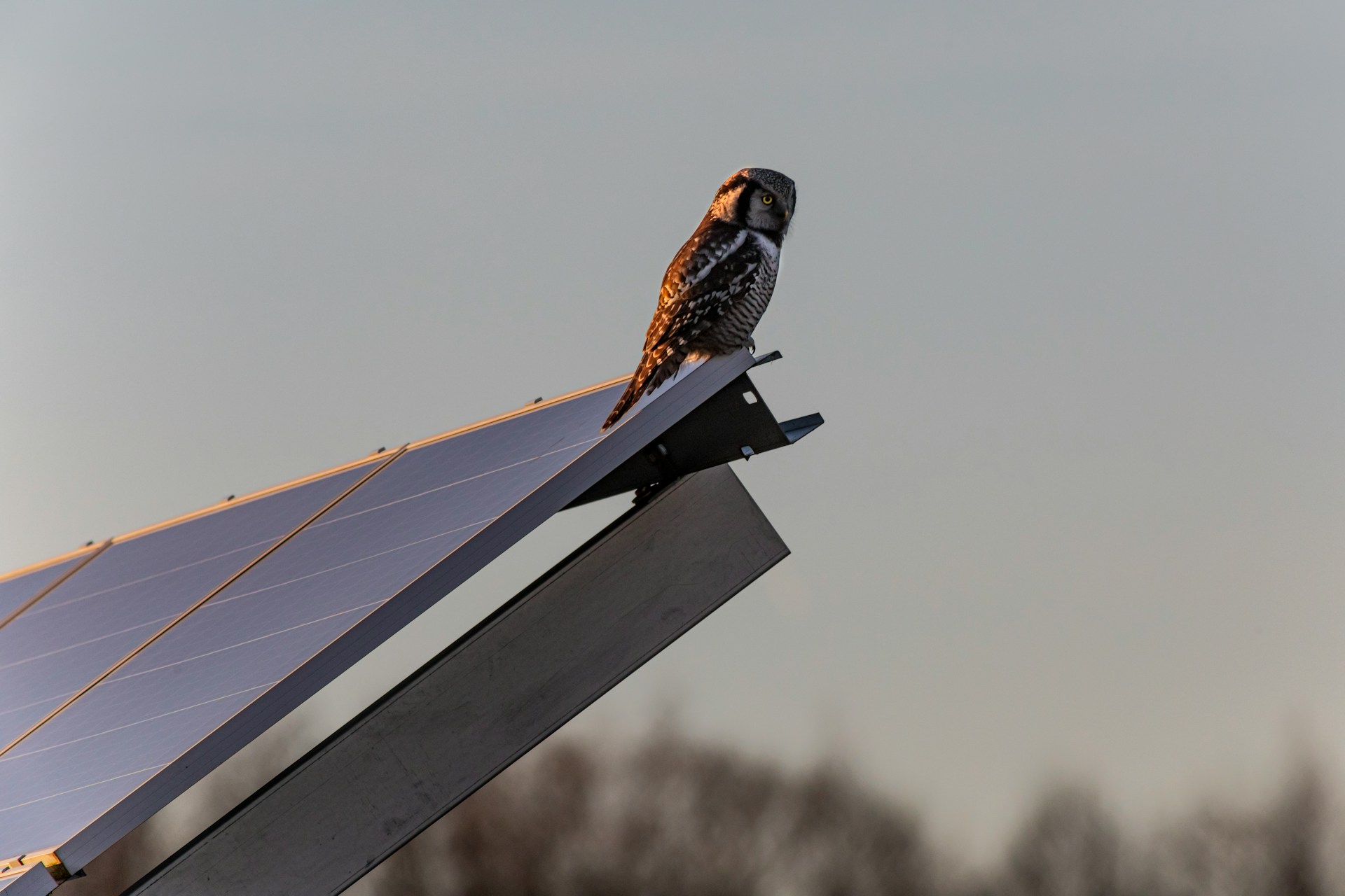 sisteme fotovoltaice