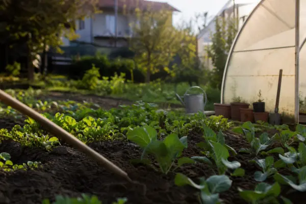 Cum alegi locul potrivit pentru amplasarea unui solar