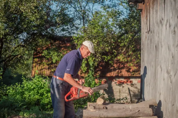 Tăierea unui copac din propria curte: când ai nevoie de aprobare și ce amenzi poți risca